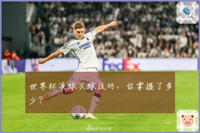 世界杯滚球买球技巧，你掌握了多少？