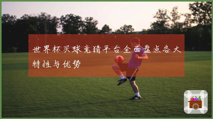 世界杯买球竞猜平台全面盘点各大特性与优势