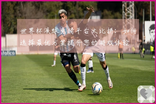 世界杯滚球竞猜平台大比拼：如何选择最优方案提升您的游戏体验
