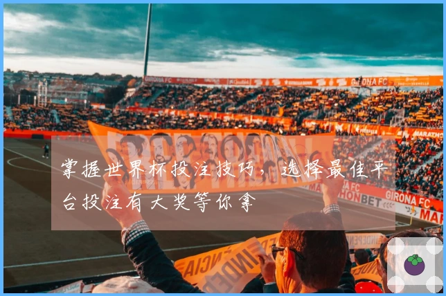 掌握世界杯投注技巧，选择最佳平台投注有大奖等你拿
